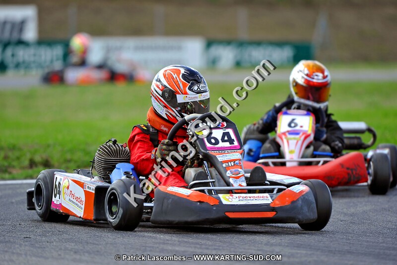 DSC_ (895).jpg